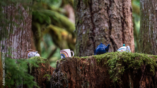 Teapot in the Forest – Teapot Hill, Chilliwack, BC, Magical Forest wonderland