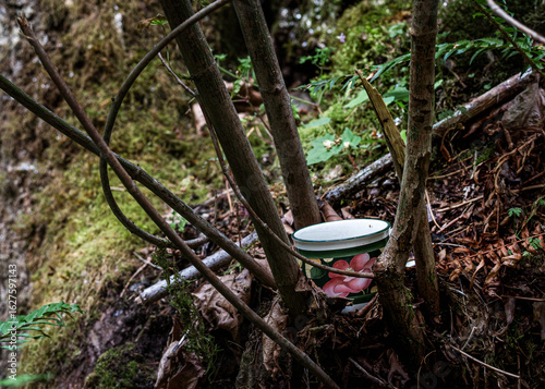 Teapot in the Forest – Teapot Hill, Chilliwack, BC, Magical Forest wonderland