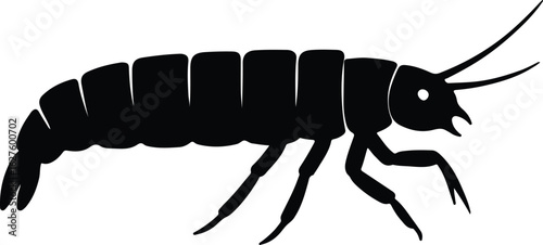 Silhouette Woodlouse Isopod black and white vector illustrator