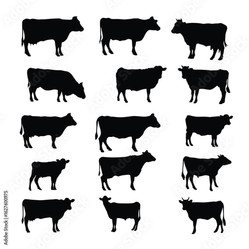 vector illustration of cows silhouette set, Black & White silhouette set 