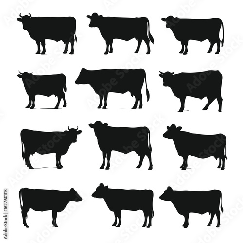vector illustration of cows silhouette set, Black & White silhouette set 