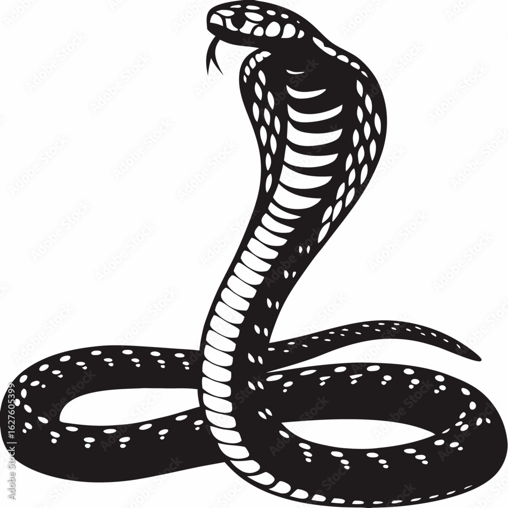 Fototapeta premium Coiled Cobra Snake with Hood Silhouette