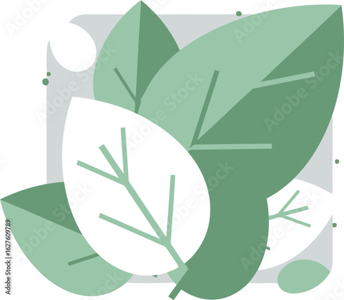 Abstract design of overlapping, stylized leaves in light sage and white colors on a light gray background. A minimalist, organic design element with muted tones.