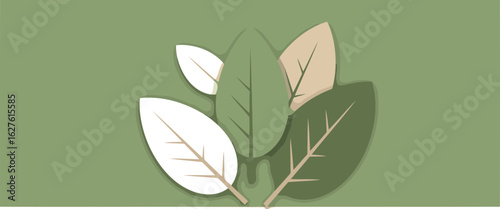 Abstract leaves in various shades of green and beige, displayed on a muted sage green background. Simple and stylized foliage, ideal for representing nature and tranquility.