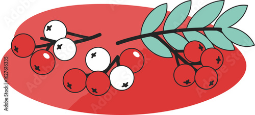 Red and white rowan berries on a branch with teal leaves against a coral background. Simple, graphic illustration of winter berries with a decorative flair.
