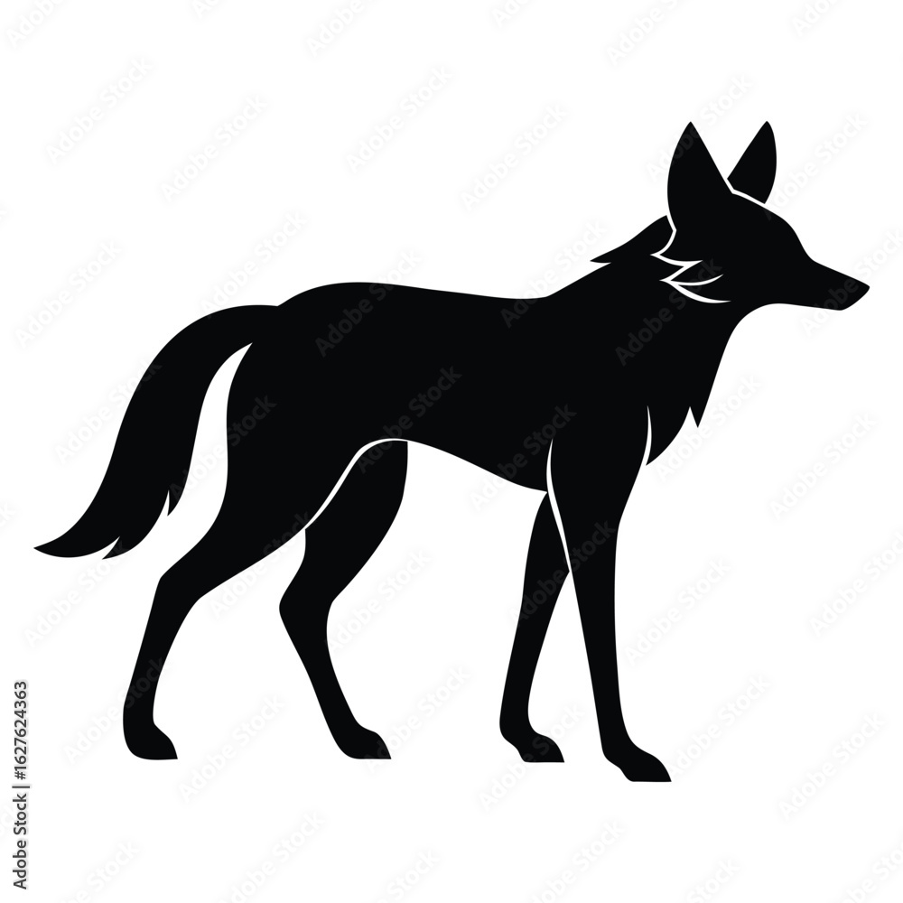 Obraz premium Black silhouette of a coyote standing on a white background animal wild