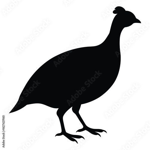 Black silhouette of a guinea fowl bird standing on white background vector