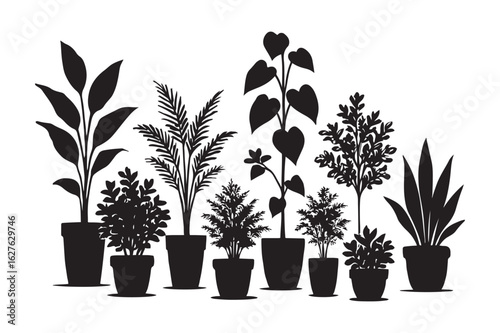 Silhouette collection of various potted houseplants on white background potted plants