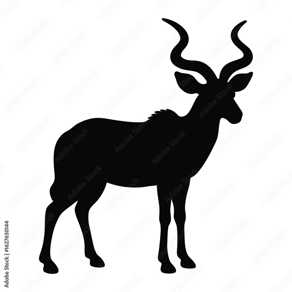 Obraz premium Black silhouette of a kudu antelope with large spiraling horns black and white animal