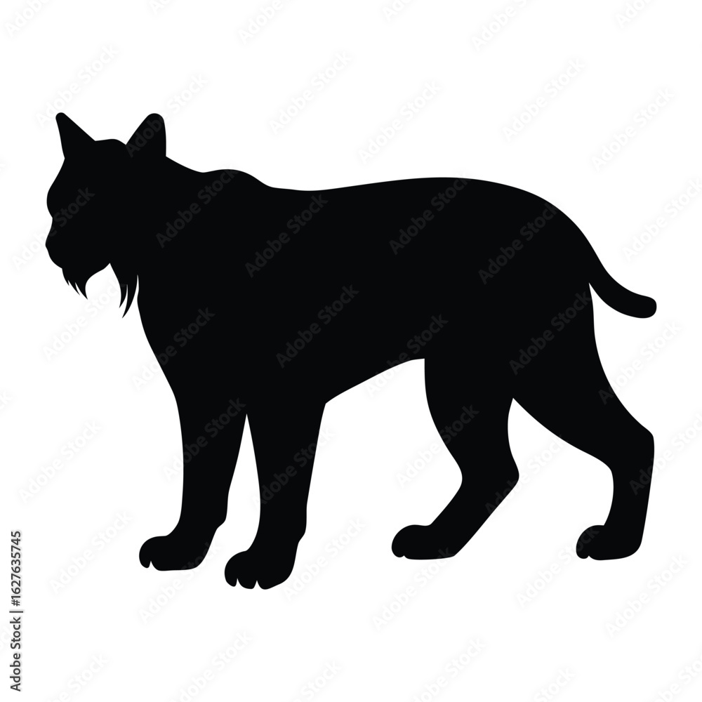 Obraz premium Black silhouette of a standing lynx with tufted ears and beard white background animal