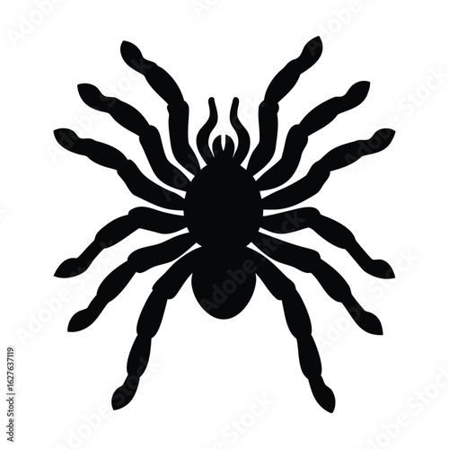 Black silhouette of a tarantula spider with eight legs arachnid insect