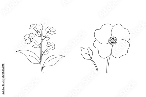Delicate floral outlines with blooming flowers and leaves