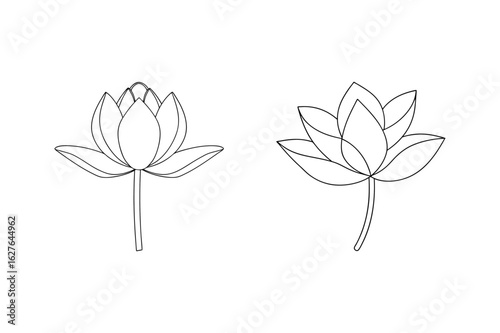 Two stylized lotus flowers line art floral bloom