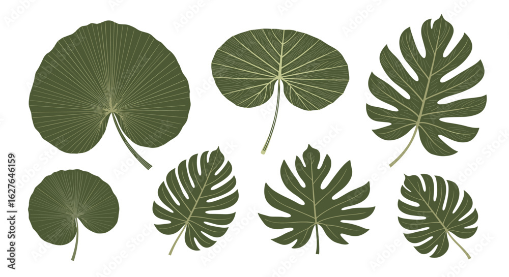 Obraz premium Collection of various green tropical leaf illustrations with detailed vein patterns for decorative design and botanical art
