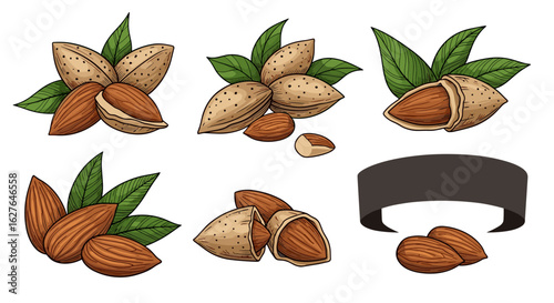 Delicious fresh almonds natural organic healthy food ingredients for cooking baking and snacking