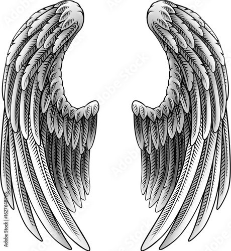 A pair of angel, eagle or p...