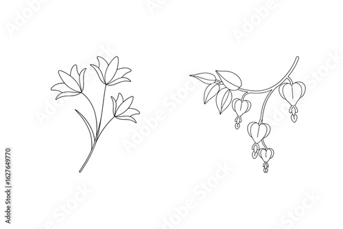 Delicate floral outlines with bell and heart shaped flowers