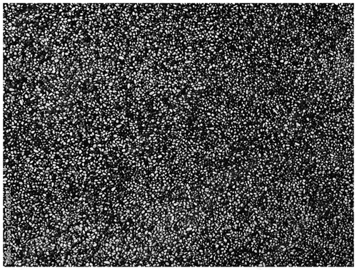 Monochrome Pebble Stone Texture Background（ブツブツした小石がびっしりあるモノクロ背景）