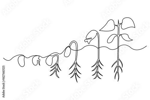 Continuous one line drawing of the step by step process of a plant growing from seed to sprout in doodle style
