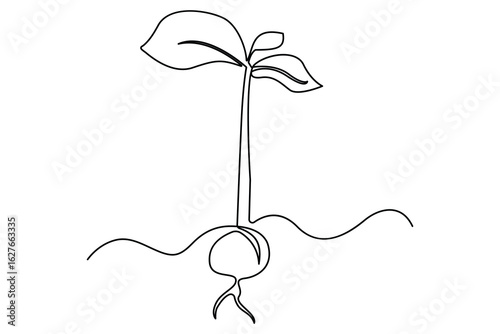 Continuous one line drawing of the step by step process of a plant growing from seed to sprout in doodle style
