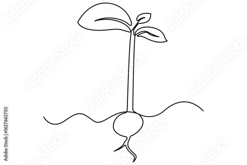 Continuous one line drawing of the step by step process of a plant growing from seed to sprout in doodle style

