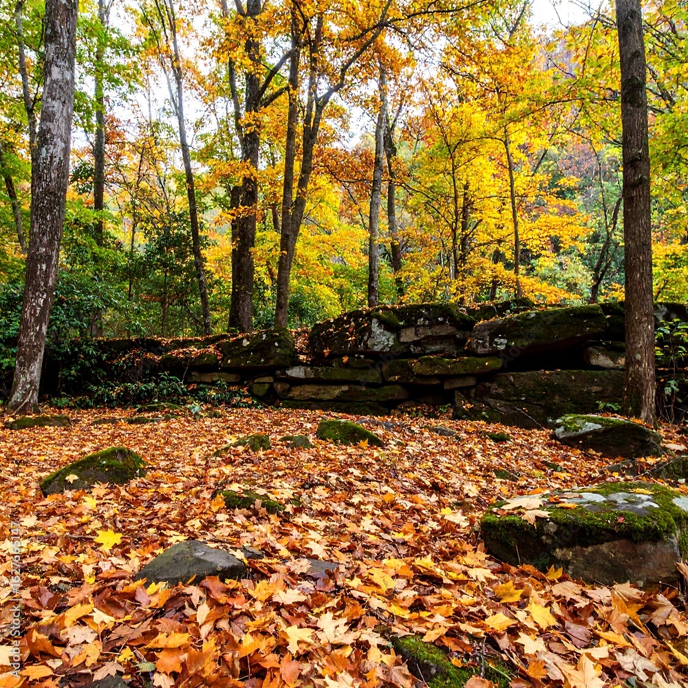 Fototapeta premium Autumn forest scene with stone wall