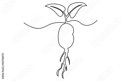 Continuous one line drawing of the step by step process of a plant growing from seed to sprout in doodle style
