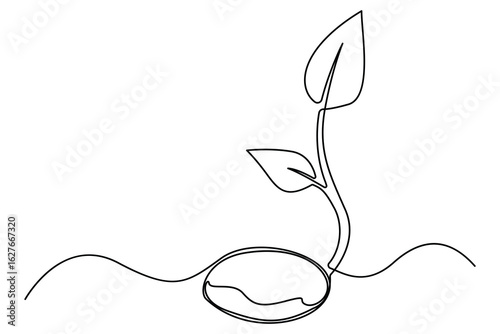 Continuous one line drawing of the step by step process of a plant growing from seed to sprout in doodle style
