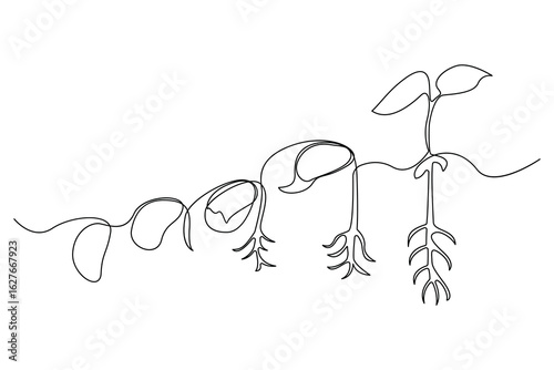 Continuous one line drawing of the step by step process of a plant growing from seed to sprout in doodle style
