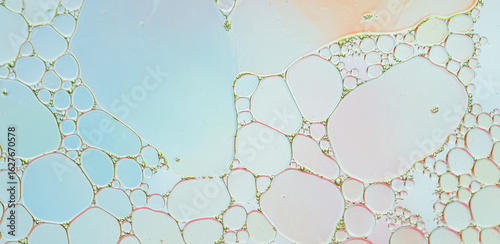 Soft pastel oil bubbles abstract texture in macro view. Delicate macro image of pastel-colored oil bubbles in water with a dreamy blue and pink gradient and organic cellular structure.