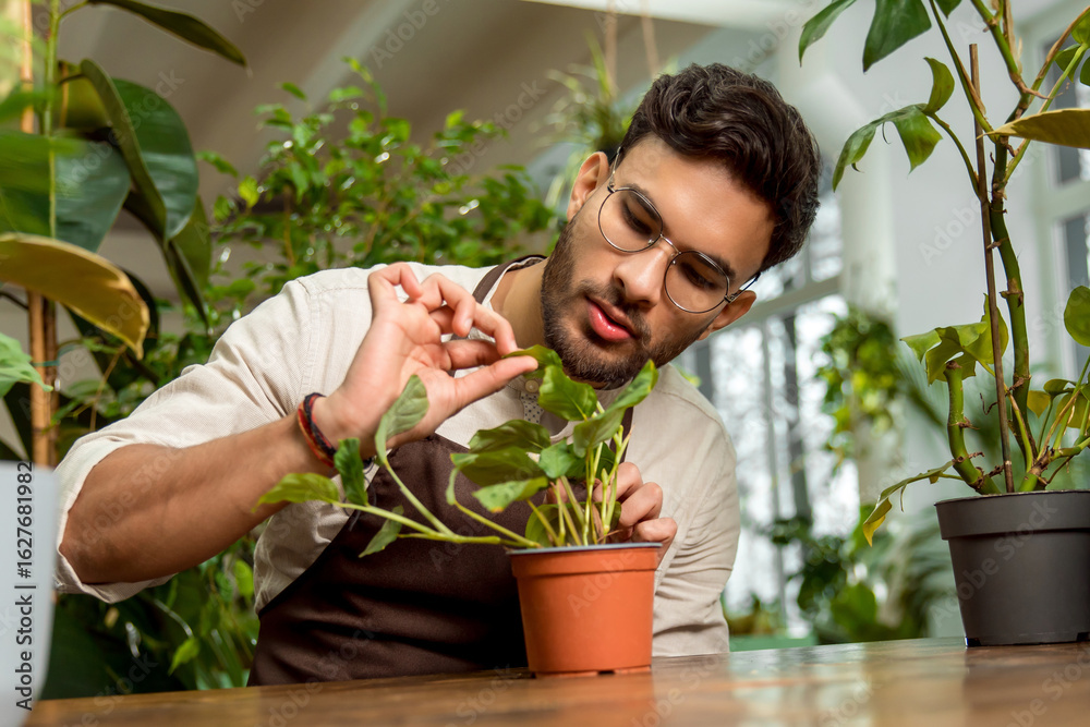 Fototapeta premium Young man in eyeglasses working in the flower shop and looking busy
