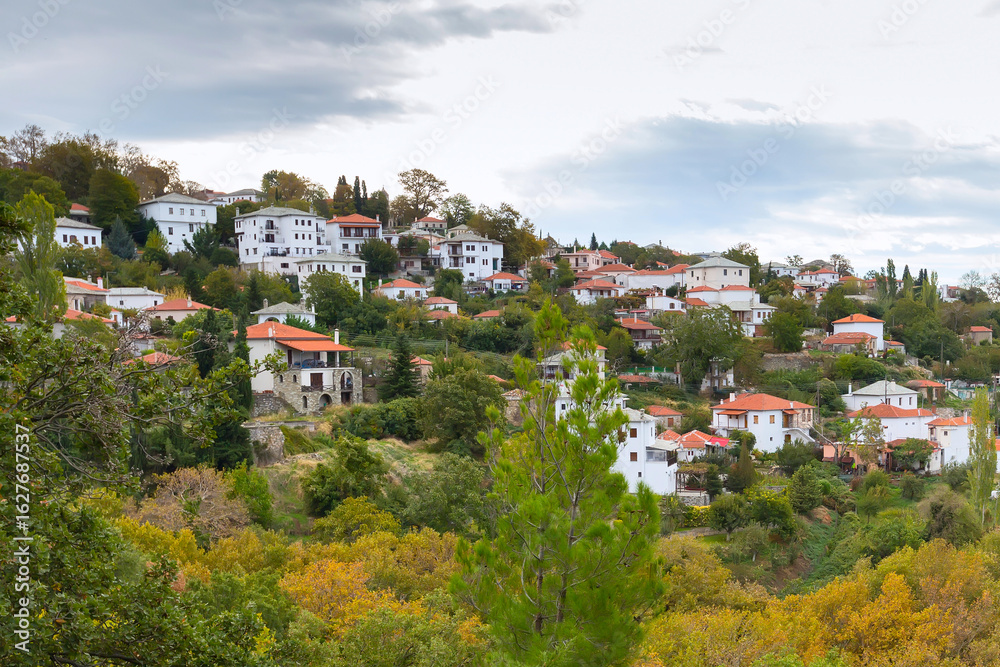 Obraz premium Aerial view of village in Pelion, Greece