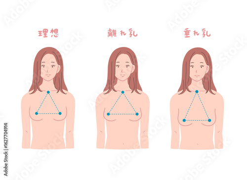 様々な形のバストの女性の上半身イラストセット