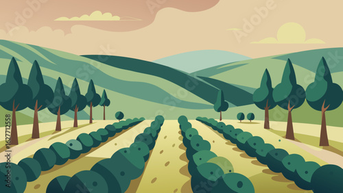 Olive grove in a hilly landscape with aligned trees and soft evening light in a flat illustration style