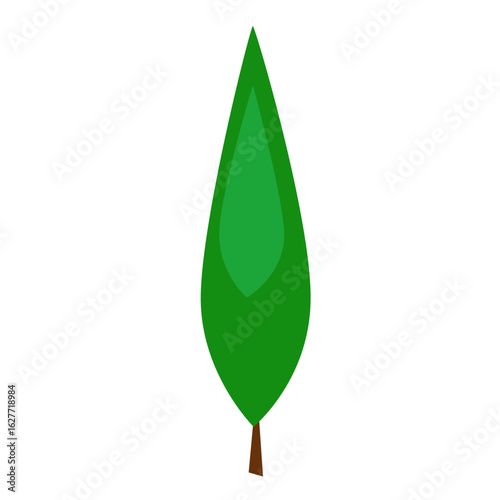 Cypress Tree