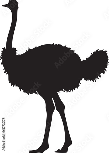 emu bird silhouette vector,Ostrich vector illustration
