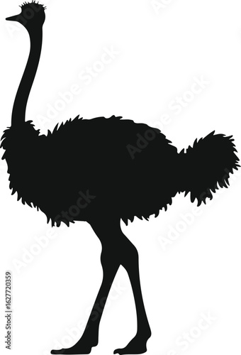 emu bird silhouette vector,Ostrich vector illustration
