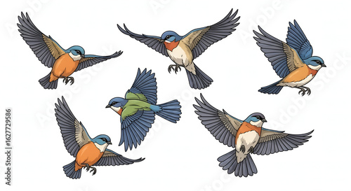 set of birds