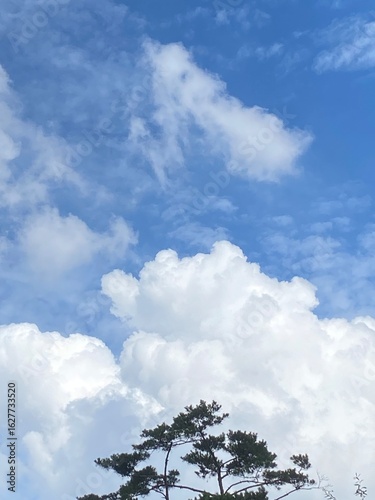 구름