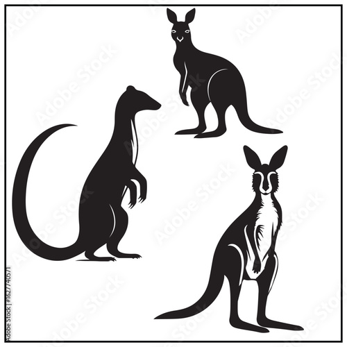 Vector art of three kangaroos and a wallaby silhouette isolated on white background