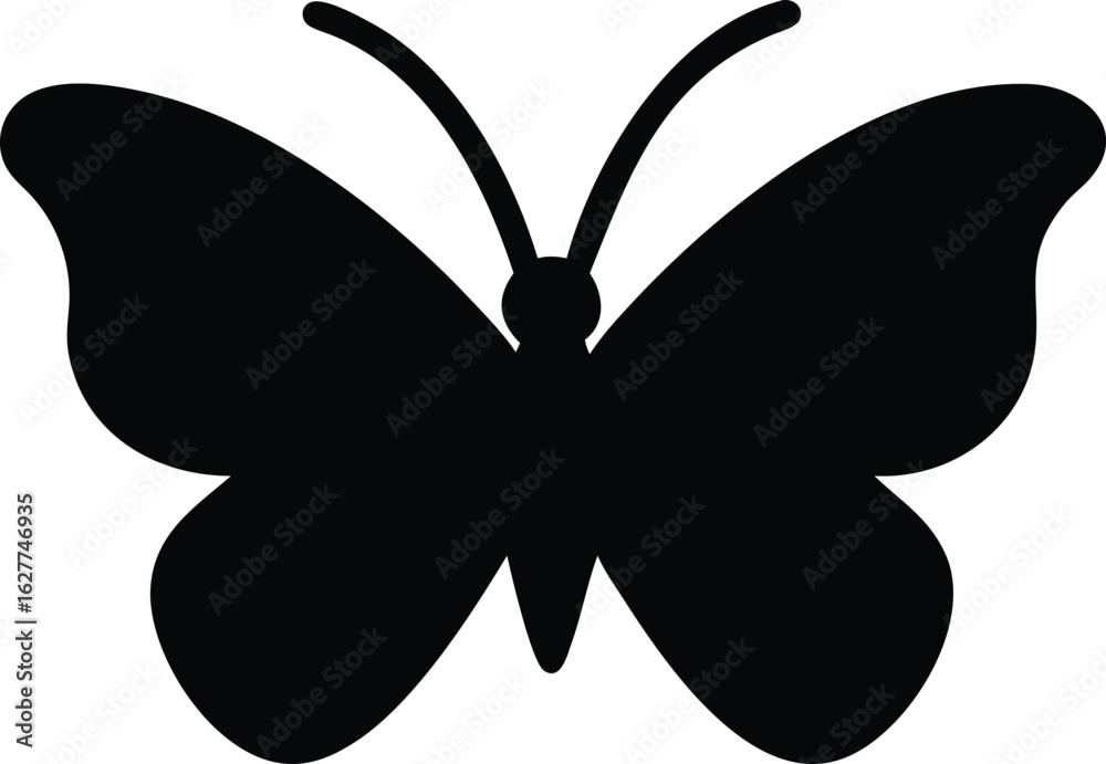 Fototapeta premium butterfly graceful flier