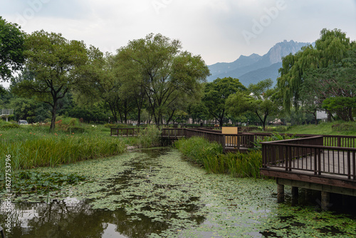 도봉산역옆의 서울창포원 습지-도봉구,서울, 대한민국