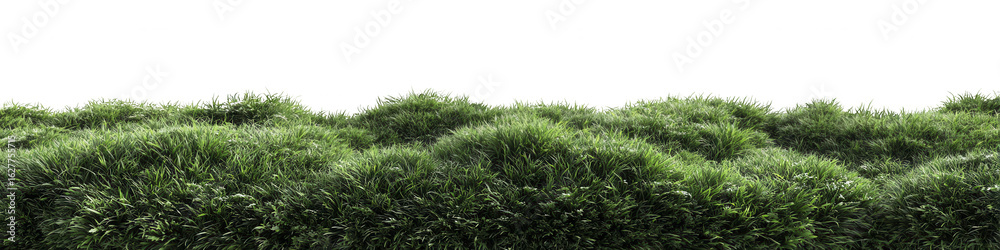 Fototapeta premium Lush green foliage field