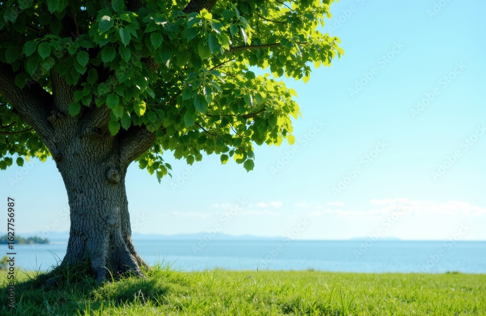 Fototapeta premium A large leafy tree stands on a grassy field near a body of water under a clear blue sky
