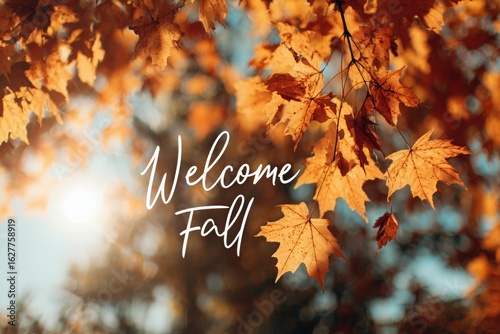 Autumn leaves in vibrant orange and yellow hues, illuminated by sunlight, create a warm atmosphere with the text 