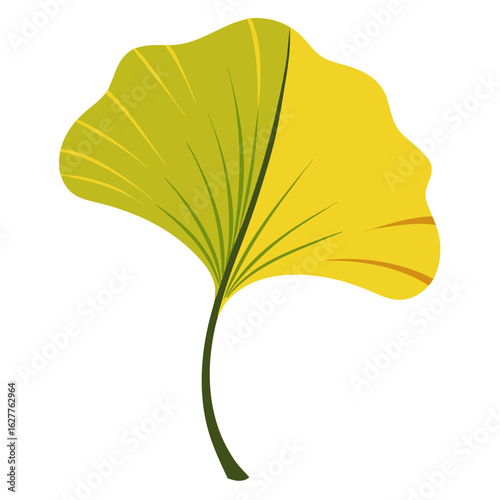 a single ginkgo leaf with its characteristic fan-shaped form and distinctive veining pattern, no background vector file.