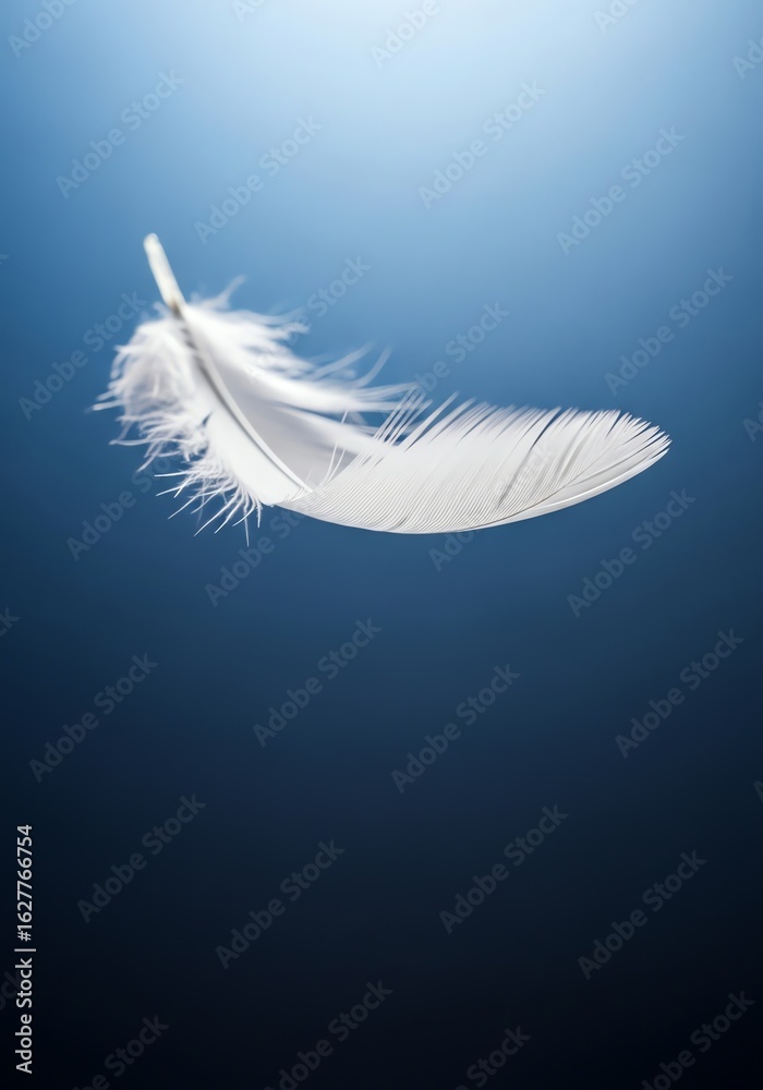 Obraz premium White feather floating in blue background