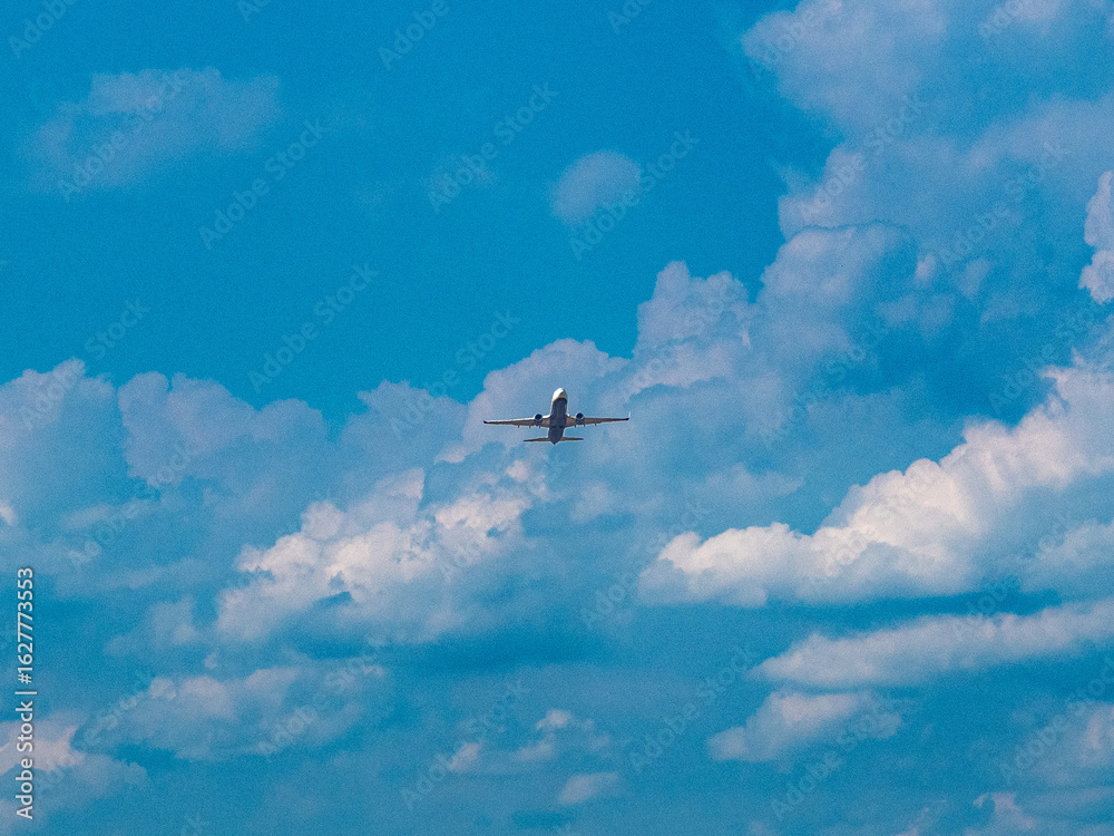 Fototapeta premium airplane in the sky