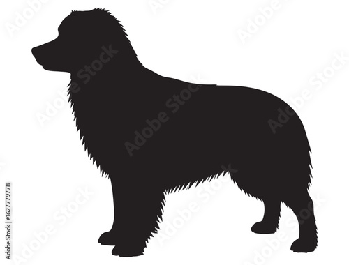 MINIATURE SHEPHERD DOG SILHOUETTE