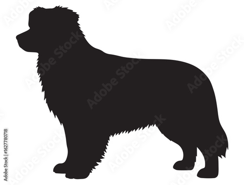 MINIATURE SHEPHERD DOG SILHOUETTE